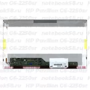 Матрица для ноутбука HP Pavilion G6-2250sr (1366x768 HD) TN, 40pin, Глянцевая