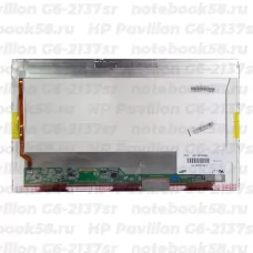 Матрица для ноутбука HP Pavilion G6-2137sr (1366x768 HD) TN, 40pin, Глянцевая