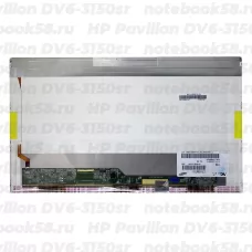 Матрица для ноутбука HP Pavilion DV6-3150sr (1366x768 HD) TN, 40pin, Глянцевая