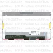 Матрица для ноутбука HP Pavilion G6-2255er (1366x768 HD) TN, 40pin, Глянцевая